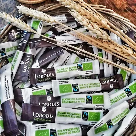 Les Palmiers Hotel Fréjus