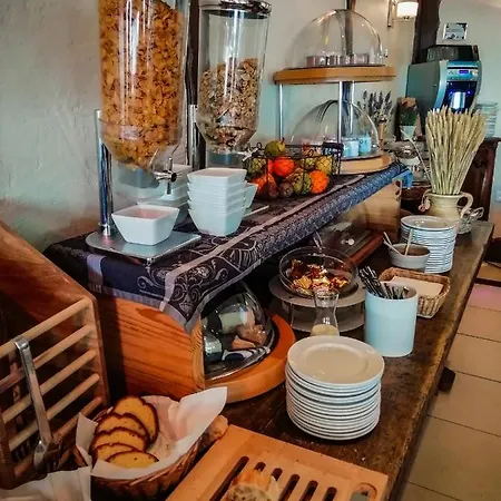 Les Palmiers Fréjus