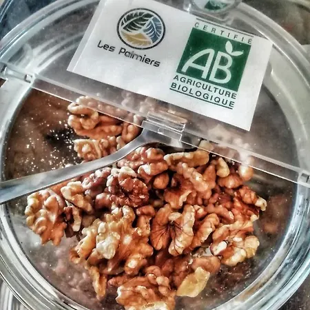 Les Palmiers 3* Fréjus