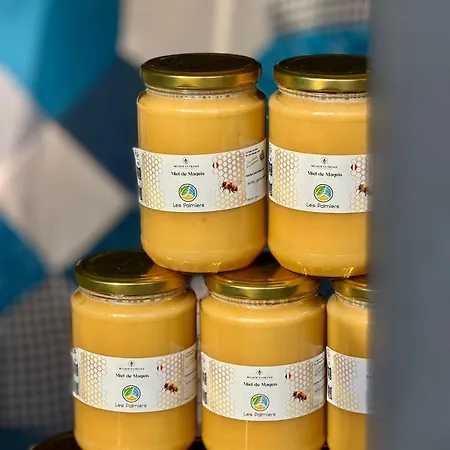 Les Palmiers 3* Fréjus