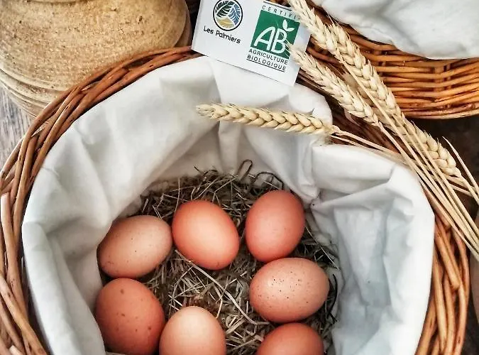 Les Palmiers فندق Fréjus