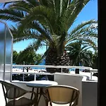 Les Palmiers