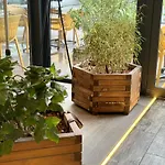 Hotel Les Palmiers Fréjus