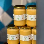 Les Palmiers 3* Fréjus