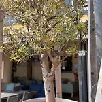 Hotel Les Palmiers