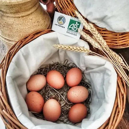 Les Palmiers ホテル Fréjus