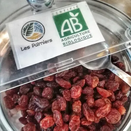 Les Palmiers ホテル Fréjus