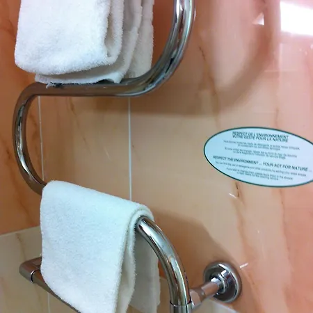 Hotel Les Palmiers 3*