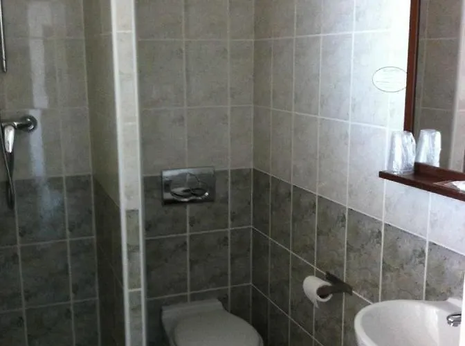 Отель Les Palmiers 3*