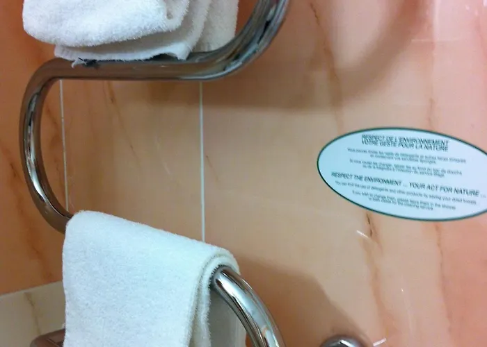 Hotel Les Palmiers 3*