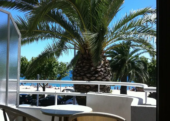 Les Palmiers
